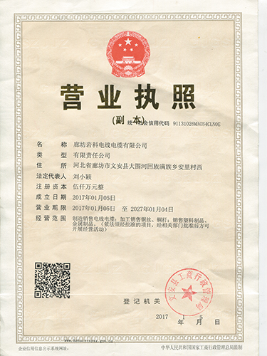 岩科营业执照